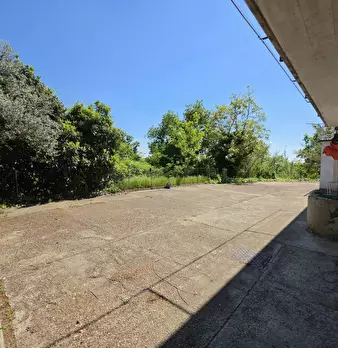 Foto annuncio 41