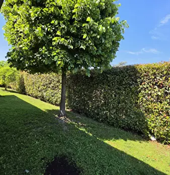 Foto annuncio 44
