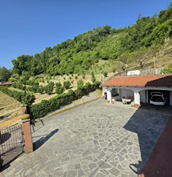 Foto annuncio 38