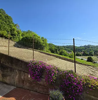 Foto annuncio 48