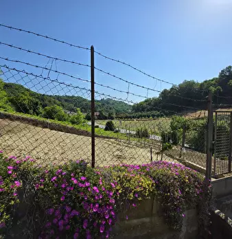 Foto annuncio 52