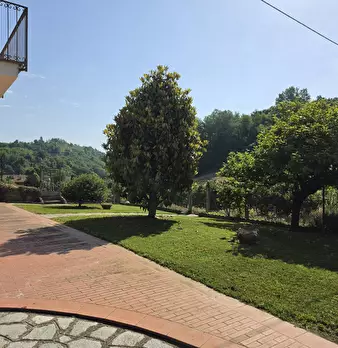Foto annuncio 32