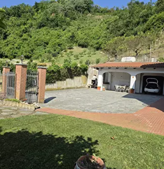 Foto annuncio 53