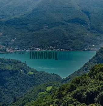 Foto annuncio 24