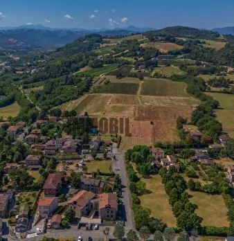 Foto annuncio 61