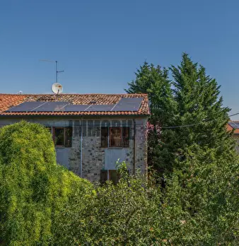 Foto annuncio 63