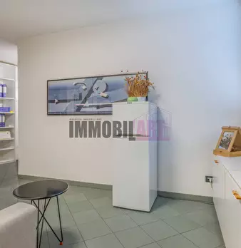Foto annuncio 11