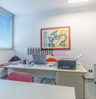 Foto annuncio 16