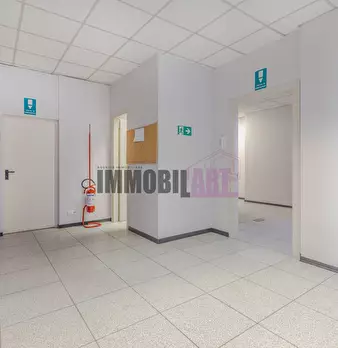 Foto annuncio 43