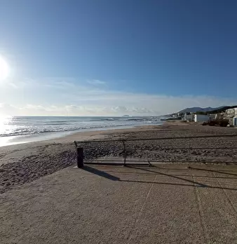 Foto annuncio 12