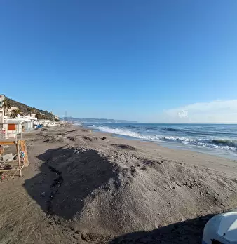 Foto annuncio 14