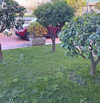 Foto annuncio 13