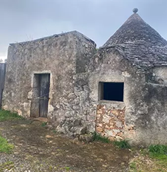Foto annuncio 1