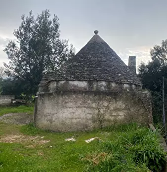 Foto annuncio 2