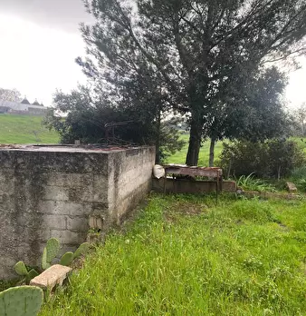 Foto annuncio 4