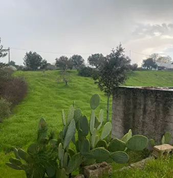 Foto annuncio 5