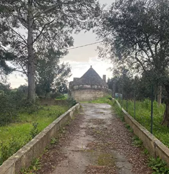 Foto annuncio 6