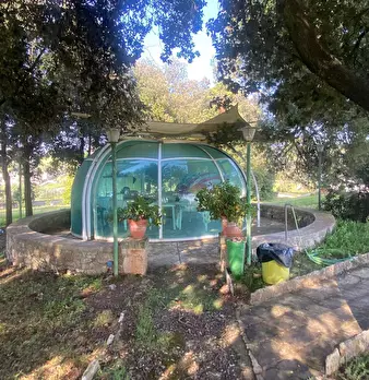 Foto annuncio 8