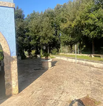 Foto annuncio 9