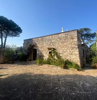 Foto annuncio 10