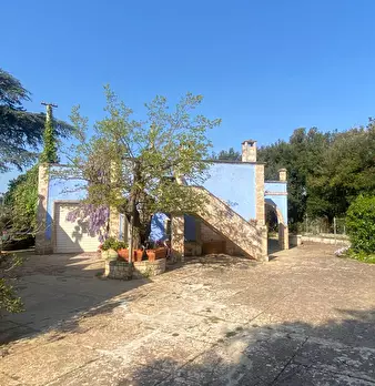 Foto annuncio 5