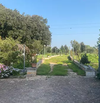 Foto annuncio 14