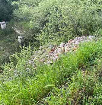 Foto annuncio 4