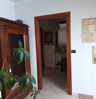 Foto annuncio 29