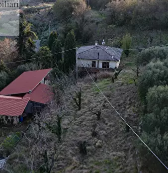Foto annuncio 7