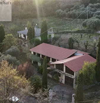 Foto annuncio 8