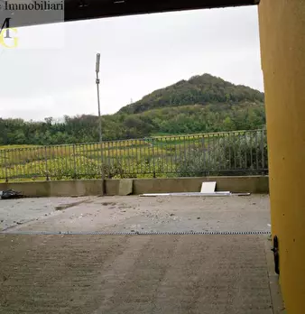 Foto annuncio 9