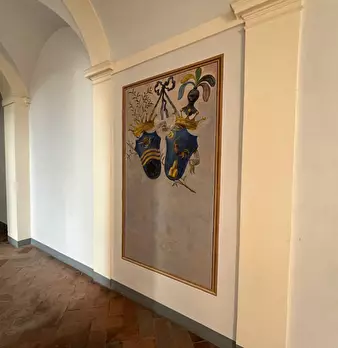 Foto annuncio 40