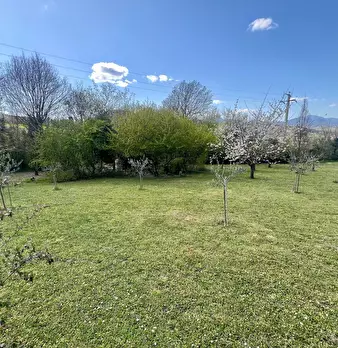 Foto annuncio 26