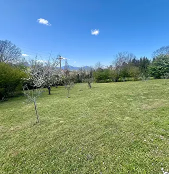 Foto annuncio 27