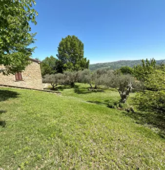 Foto annuncio 13