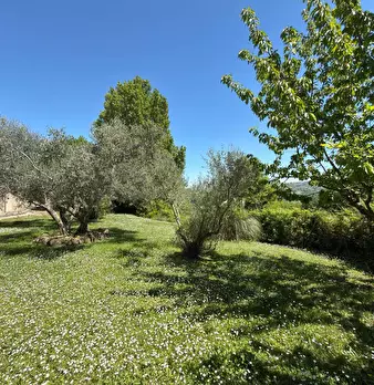 Foto annuncio 15