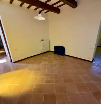Foto annuncio 62