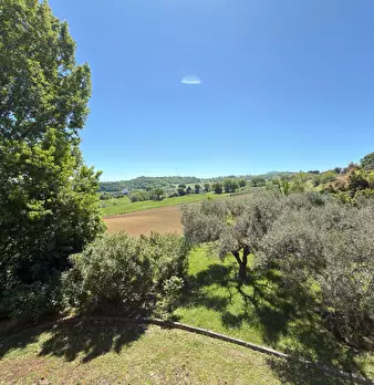 Foto annuncio 36