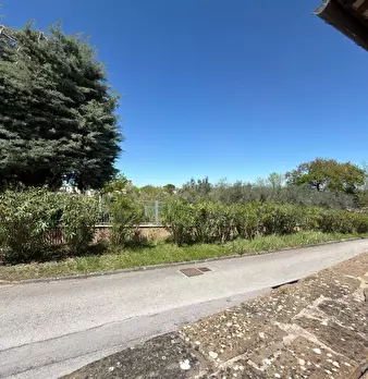 Foto annuncio 37