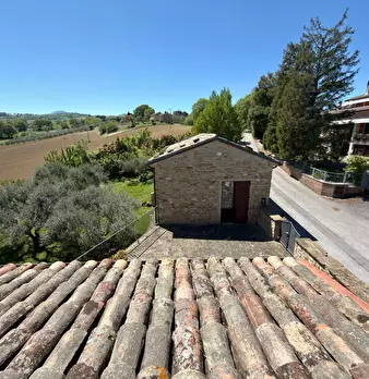 Foto annuncio 60
