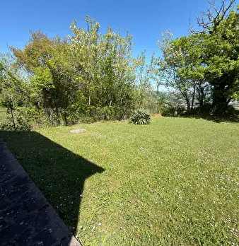Foto annuncio 75