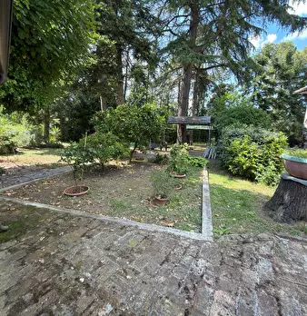 Foto annuncio 11