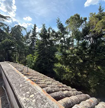 Foto annuncio 50