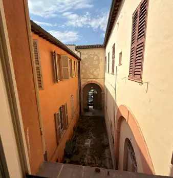 Foto annuncio 11