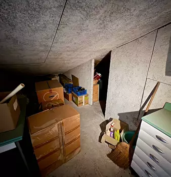 Foto annuncio 38