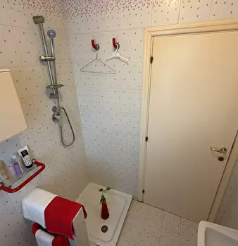 Foto annuncio 33