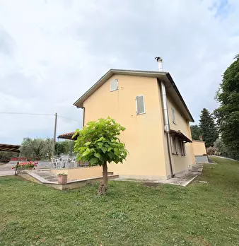 Foto annuncio 41