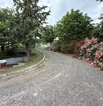 Foto annuncio 56