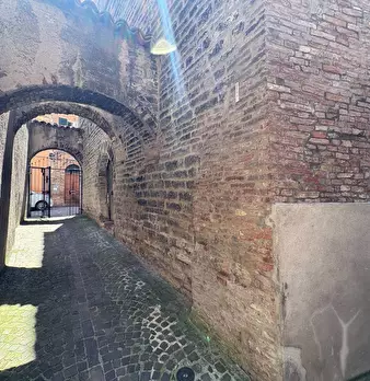 Foto annuncio 49
