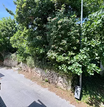 Foto annuncio 37